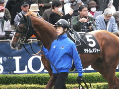20161127 東京7R ベゴニア賞 クライムメジャー 03