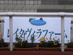20161002 阪神8R (500) テイケイラピッド 01