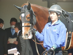 20190317 中山9R 幕張S(1600) クライムメジャー 06