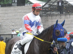 20170513 東京5R 3歳未勝利 トッテモイイコ 08