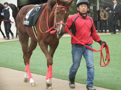 20190106 中山10R ジュニアC(L) オトナノジジョウ 12