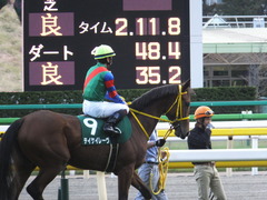 20151031 東京11R アルテミスS(G3) テイケイレーヴ 13