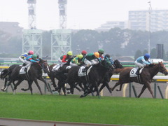 20141101 東京8R トレジャーマップ 09