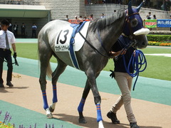 20180609 東京6R 3歳牝馬未勝利 ウェディングベール 10