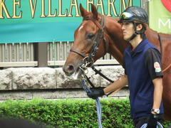 20181006 東京3R 2歳未勝利 ヤップヤップヤップ 12