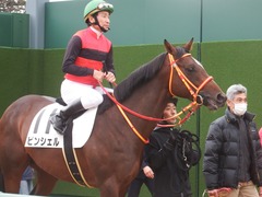 20181223 中山3R 2歳未勝利 ピンシェル 18