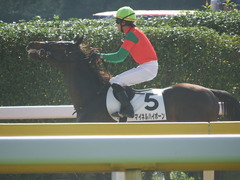 20181027 東京2R 2歳未勝利 マイネルハイボーン 16