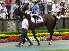 20150530 東京12R 4歳上1000万下 ヴィルトグラーフ 11