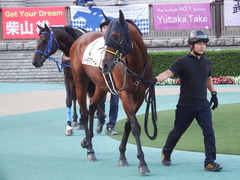 20181020 東京12R (1000) ノーモアゲーム 08