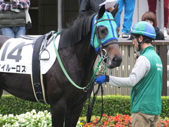 20151123 東京1R 2歳未勝利 アイルーロス 02