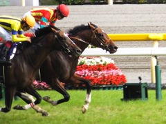 20150607 東京11R 安田記念(G1) モーリス 18