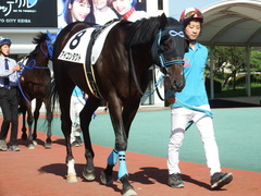 20180814 大井3R 3歳230万下 アイコンタクト 07
