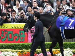 20161030 東京11R 天皇賞・秋(G1) サトノノブレス 04