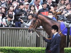20161030 東京11R 天皇賞・秋(G1) モーリス 04