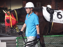20180801 大井12R ウッドフォードR賞 B2B3 マイネルグルマン 02