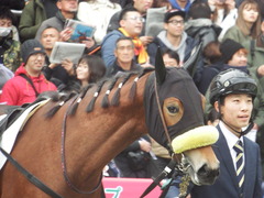 20181223 中山4R 2歳メイクデビュー ハクシンドリーム 08