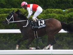 20170624 函館11R 大沼S (OP) ショウナンアポロン 22