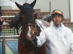 20190303 中山6R 3歳未勝利 ストレートパンチ 09