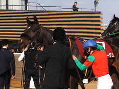 20170325 中山11R 日経賞(G2) マイネルサージュ 23