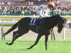 20181028 東京11R 天皇賞秋(G1) ミッキーロケット 10