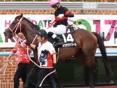 20170624 函館10R 湯川特別(500) ホウオウドリーム 27