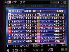 20171029 東京11R 天皇賞秋 ミッキーロケット 01