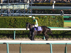 20161225 中山12R 有馬記念(G1) サトノノブレス 07
