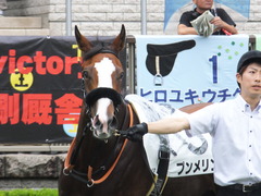 20170625 東京1R 3歳牝馬未勝利 プンメリン 15
