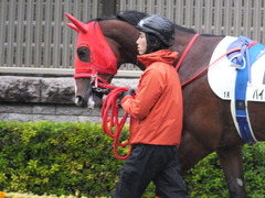 20161119 東京1R 2歳未勝利 パイオニアワーク 06