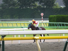 20150620 東京9R 八丈島特別 トレジャーマップ 14