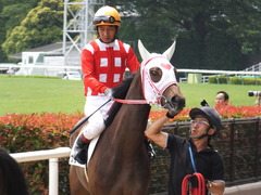 20170611 東京6R 2歳牝馬メイクデビュー サラート 17