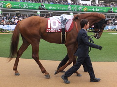 20170408 中山11R NZT(G2) クライムメジャー 09
