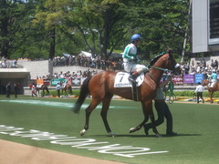 20110424 東京 ダイボサツ2戦目