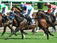 20180909 中山9R 木更津特別(1000) アドマイヤシナイ 15
