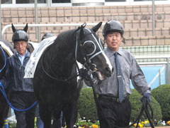 20150301 中山7R 3歳500万下 ファインライナー 03