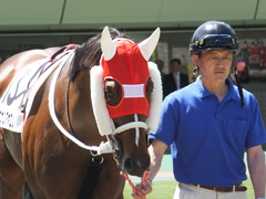 20140517 東京7R ショウナンアポロン 06