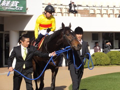 20150328 中山11R 日経賞(G2) ラブイズブーシェ 09