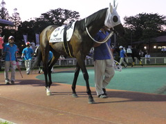 20160518 大井9R アイラブ大井賞 3歳 サンドプラチナ 06
