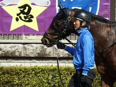 20180217 東京4R 4歳上障害未勝利 アークアーセナル 05
