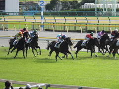 20141116 東京1R ラッシュアタック 13