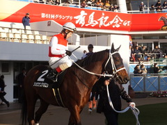 20161224 中山11R 師走S(OP) ショウナンアポロン 16