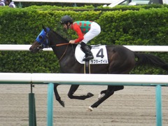20180407 中山3R 3歳未勝利 ラプターゲイル 13