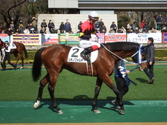 20190209 東京3R 3歳未勝利 シホノフォルテ 16