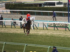 20140126 中山9R オウケンブラック 11