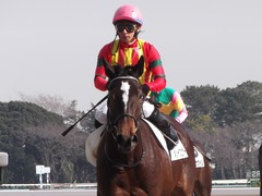 20130113 中山6R 3歳メイクデビュー メリーウェザー