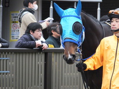 20160130 東京10R クロッカスS モーゼス 04