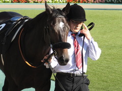 20161105 東京9R 南武特別(1000) マイネルサージュ 06