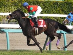 20170325 中山11R 日経賞(G2) マイネルサージュ 18