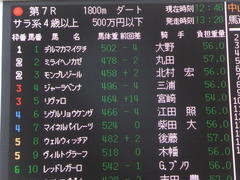 20140117 中山競馬場 ヴィルトグラーフ 01