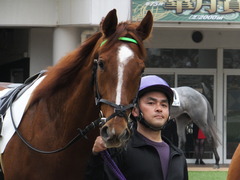 20150419 中山3R 3歳未勝利 トーセンバンビーナ 08